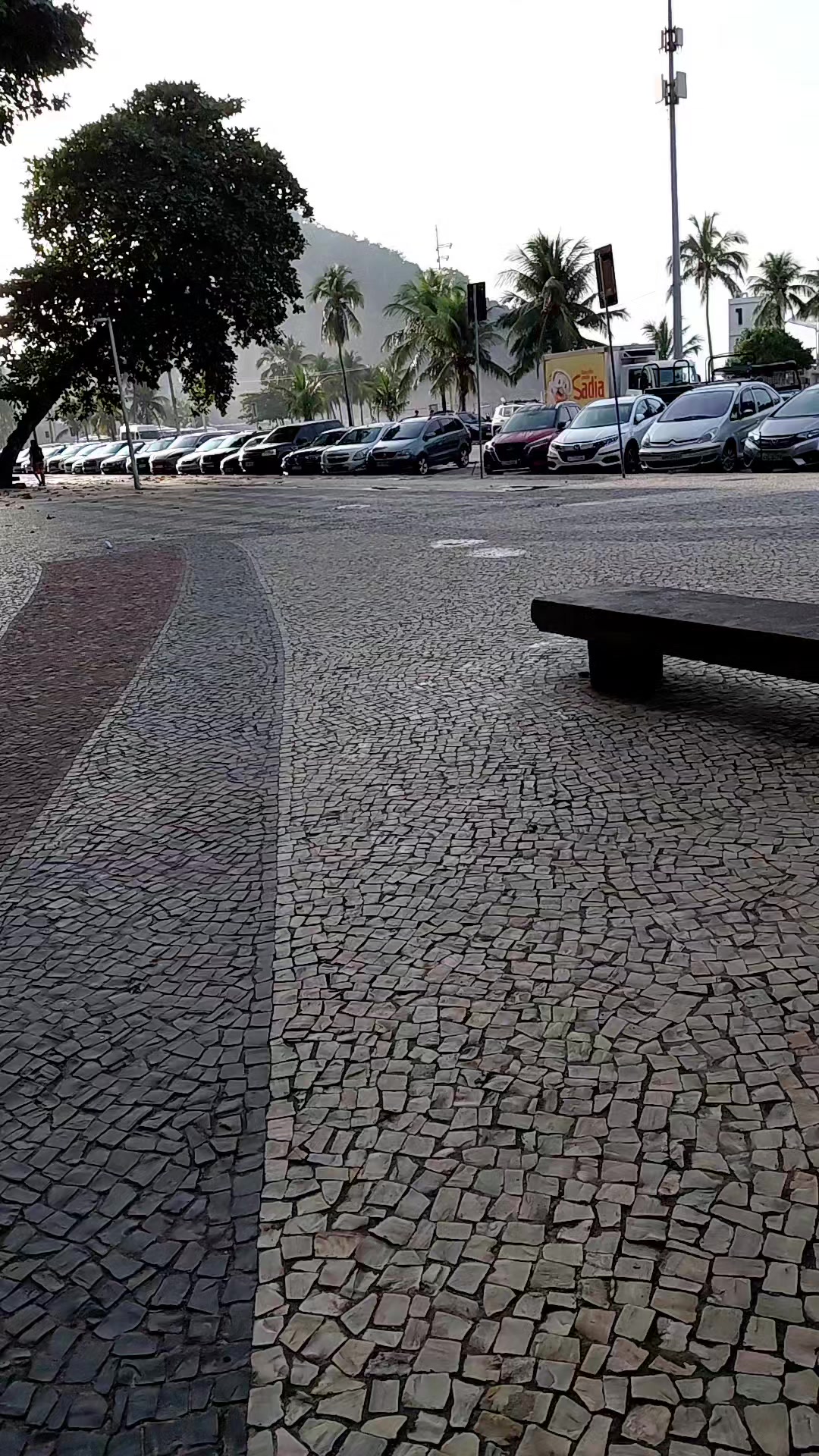 @maria  paiva