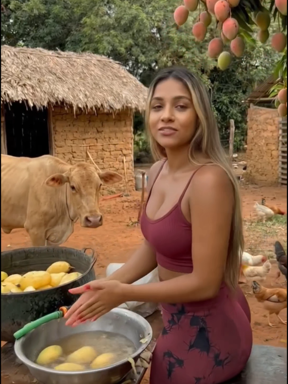 @Bruninha da Fazenda