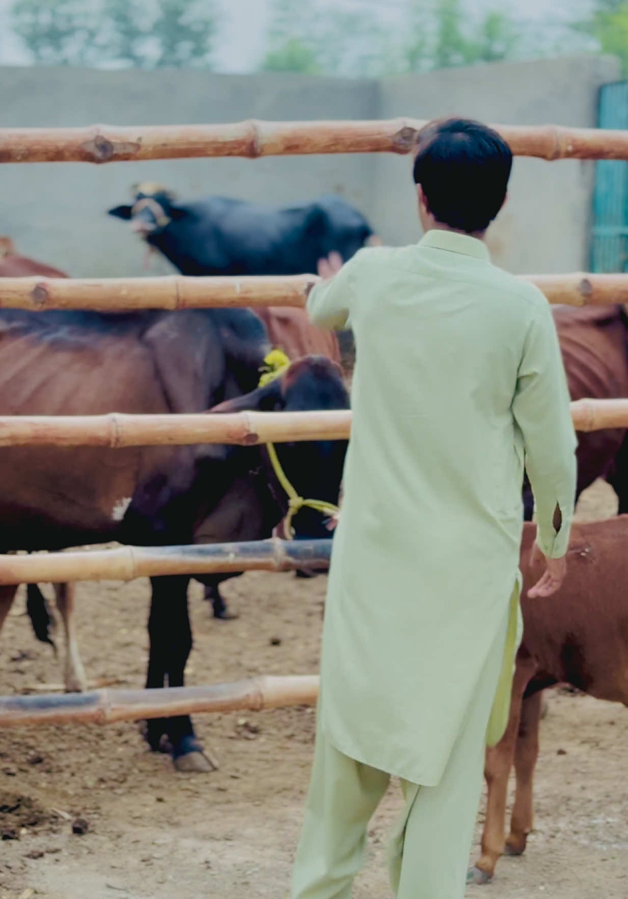 @🥀سردارملک شاویز کانجو🥰