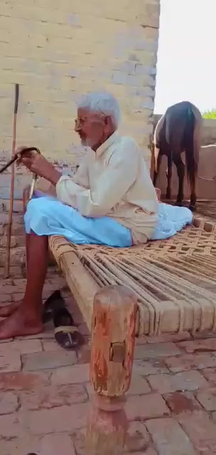 @گورسی🤍