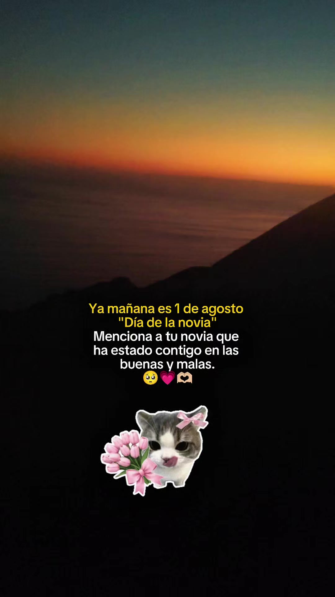 @Rodrigo.zcx 🪽