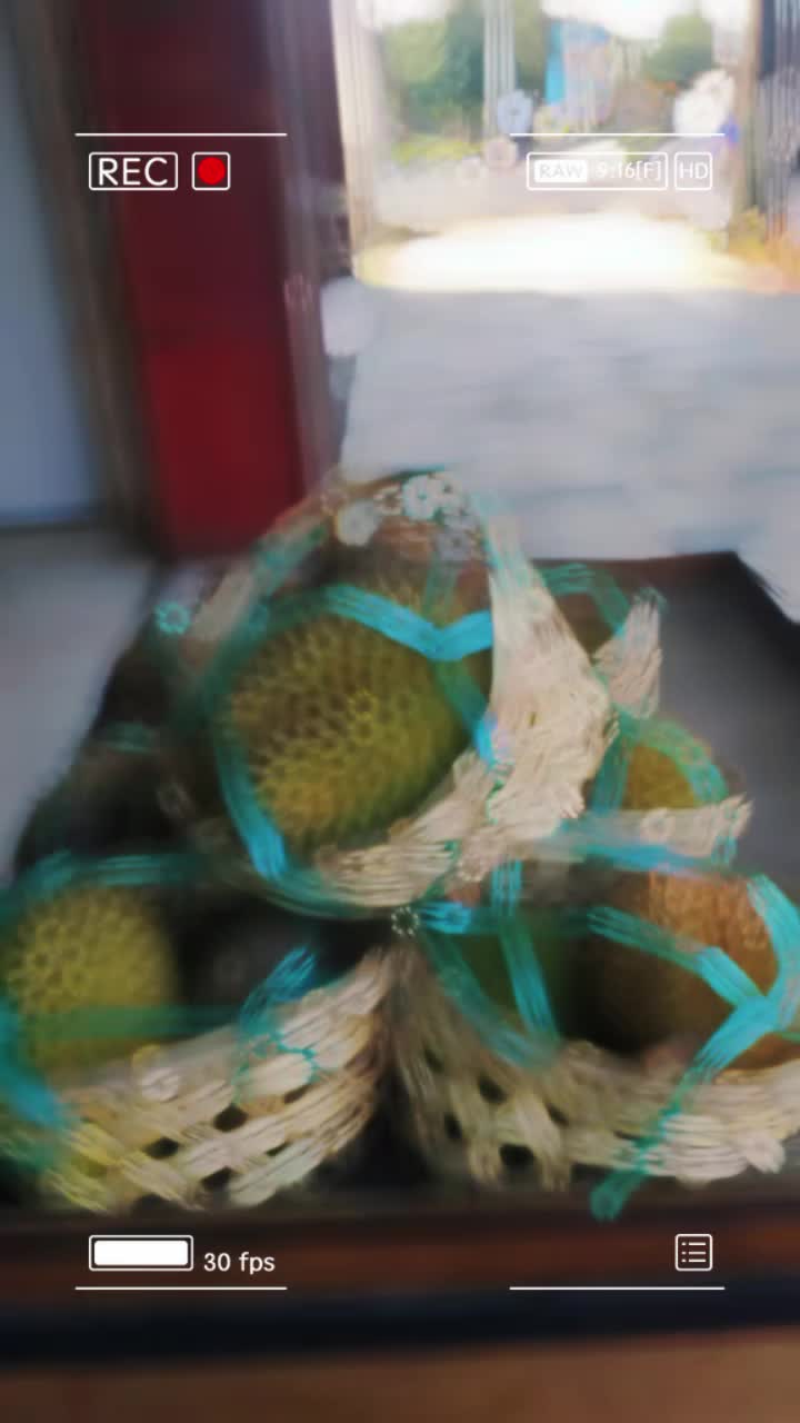 @Kenzhi Durian Tuban