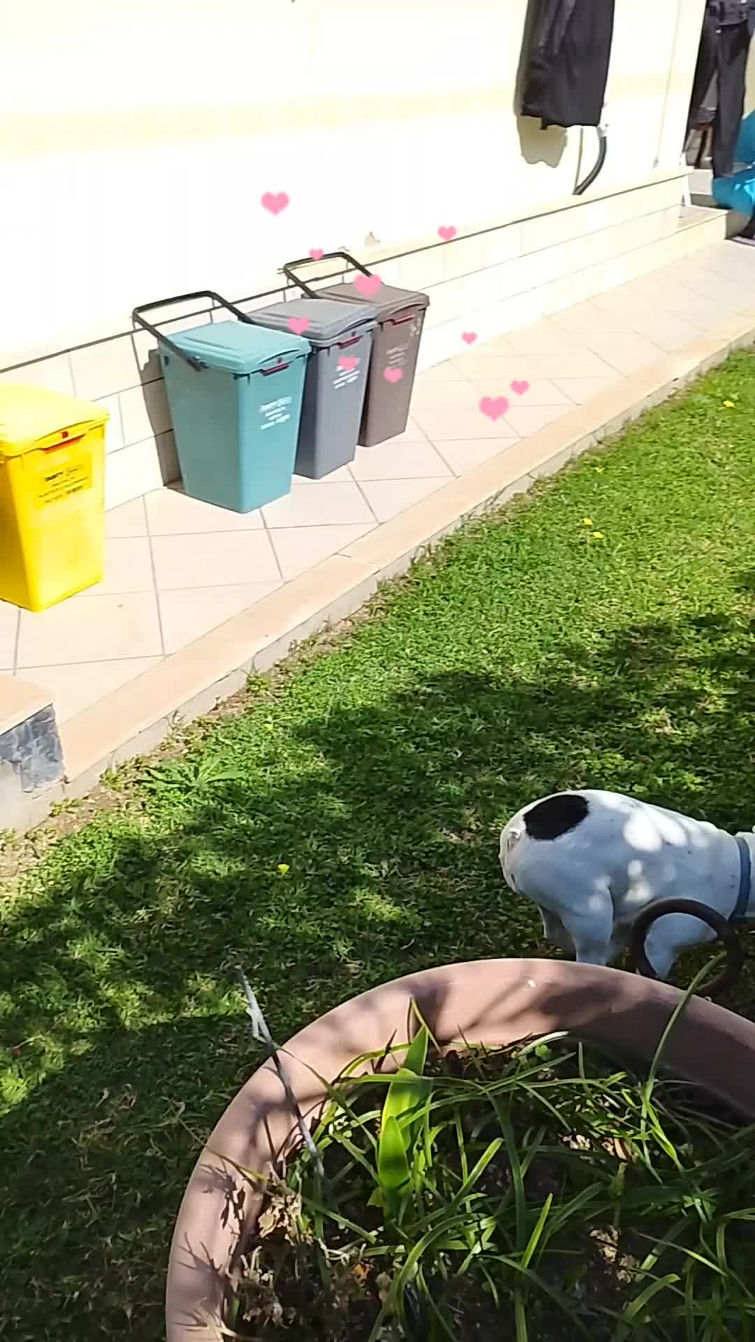 @Nelly🩷Maya🐶