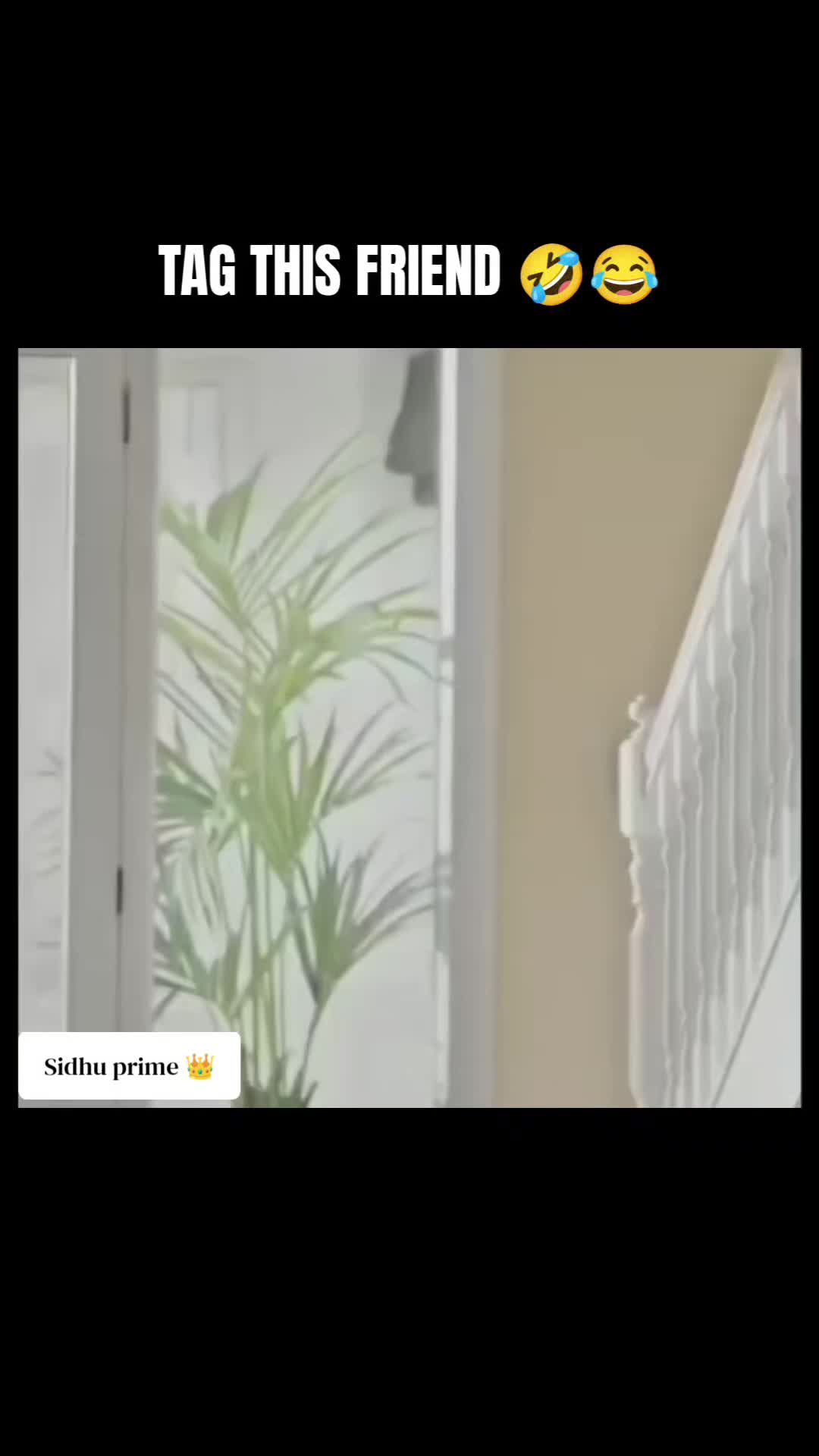 @𝐒𝐈𝐃𝐇𝐔 𝐏𝐑𝐈𝐌𝐄 👑