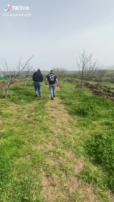 @Evren Kubilay