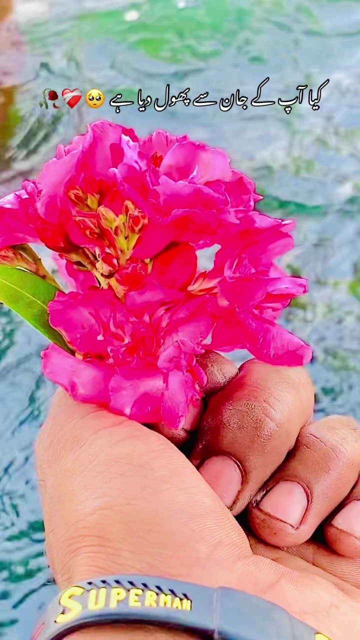 @🍂🌾 پنجابی کلچر 🌾🍂