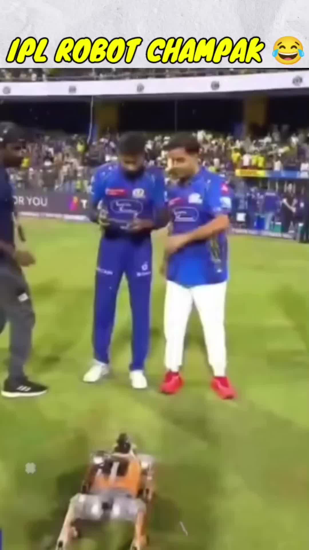 @Behind The Cricket