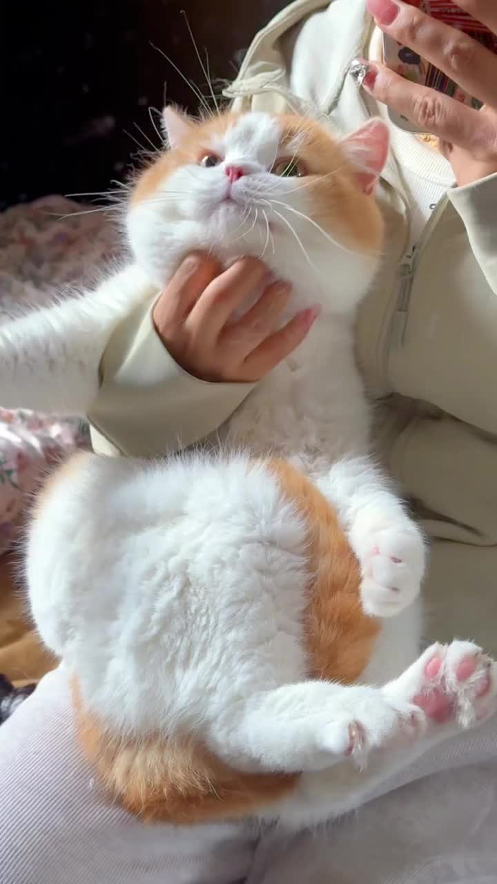 @マイ
