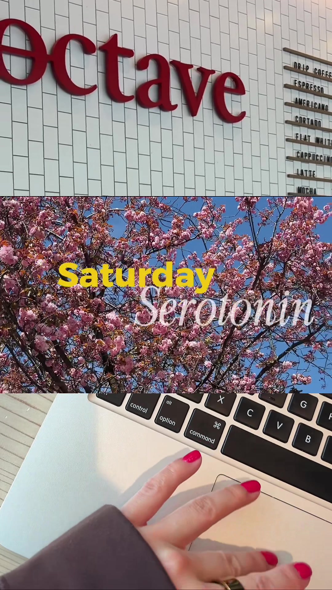 @ABISNAIL🐌🗺️☁️