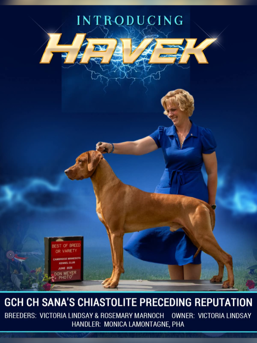 @American Dog Fancier