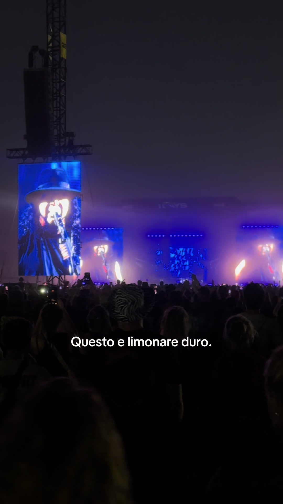 @Andreina Serena