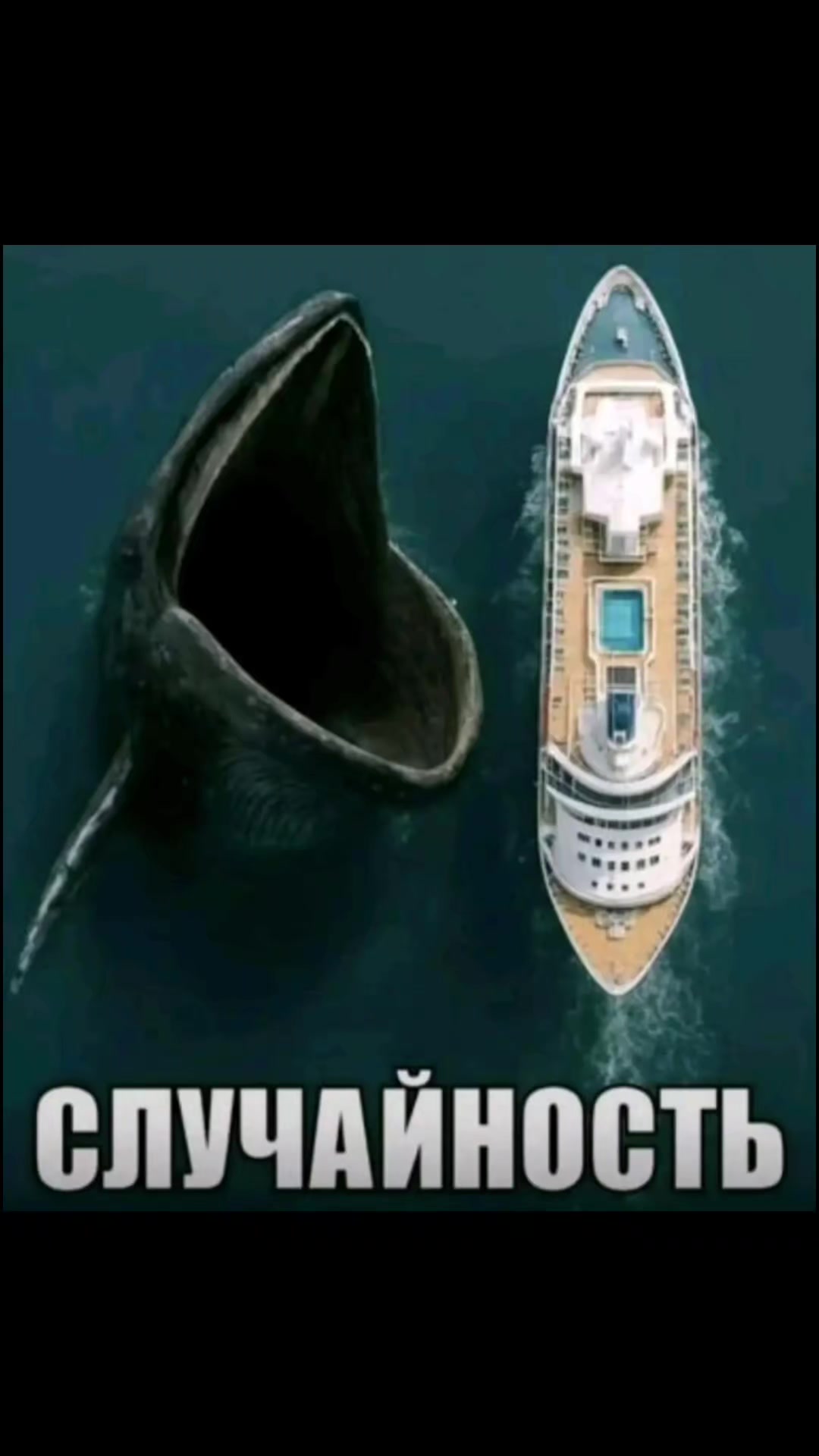 @Shubuska