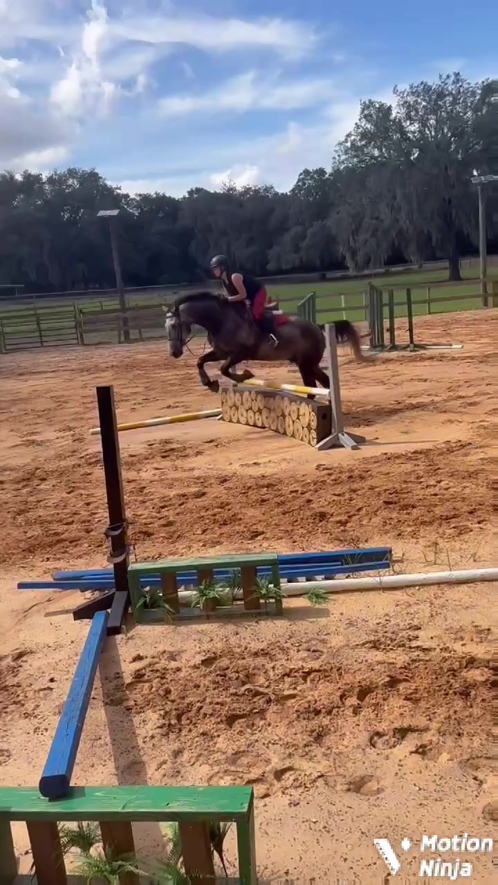 @Em.eq