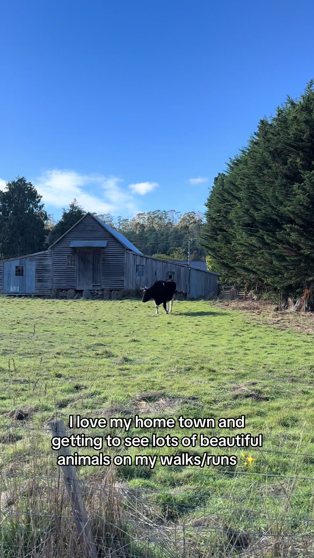 @MEL