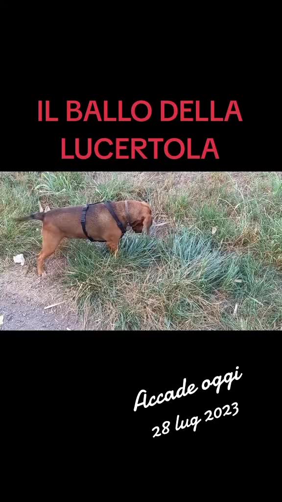 @Benjitoitaliano20