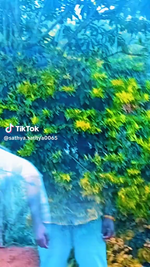 @user7530058657355