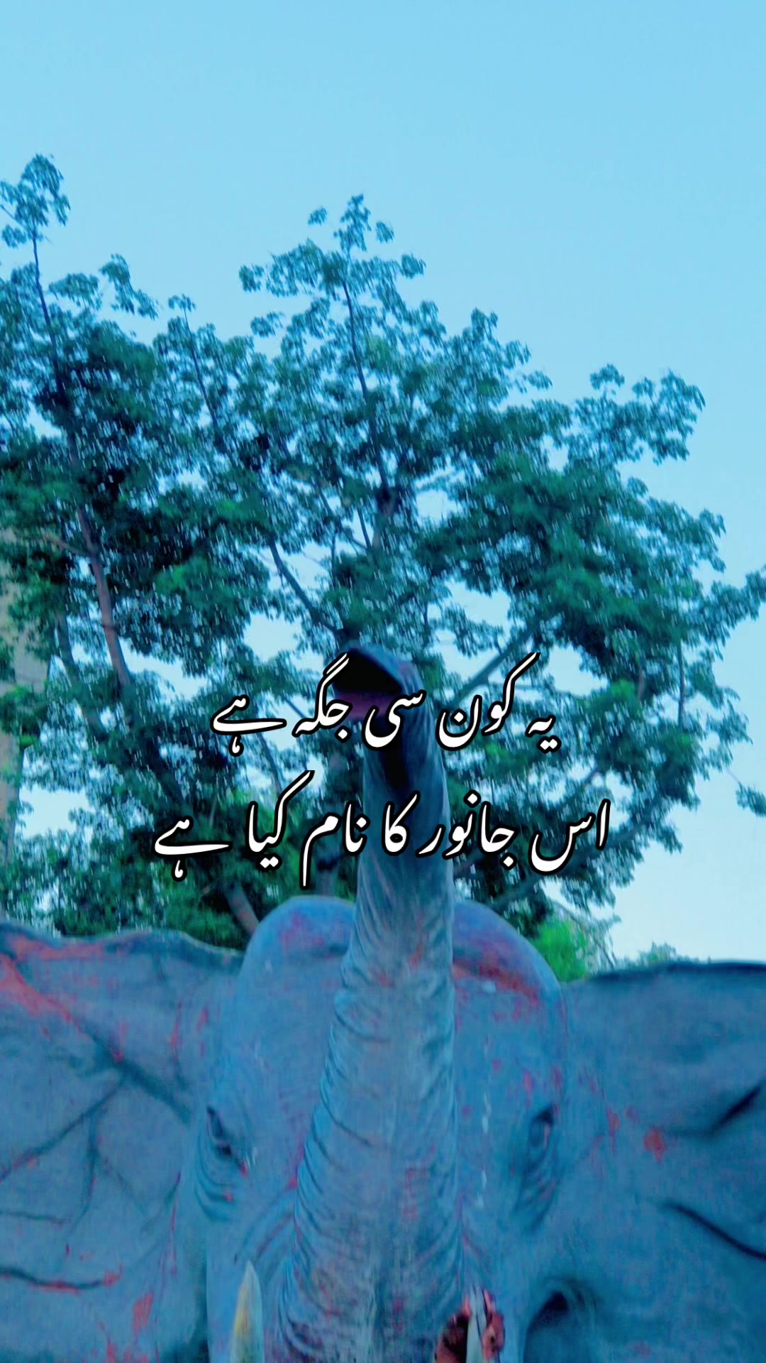 @Zain jani rajpoot