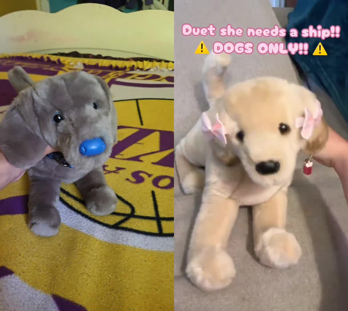 @🪸🦭🪼IsabellaandDino🪸🫍🐬