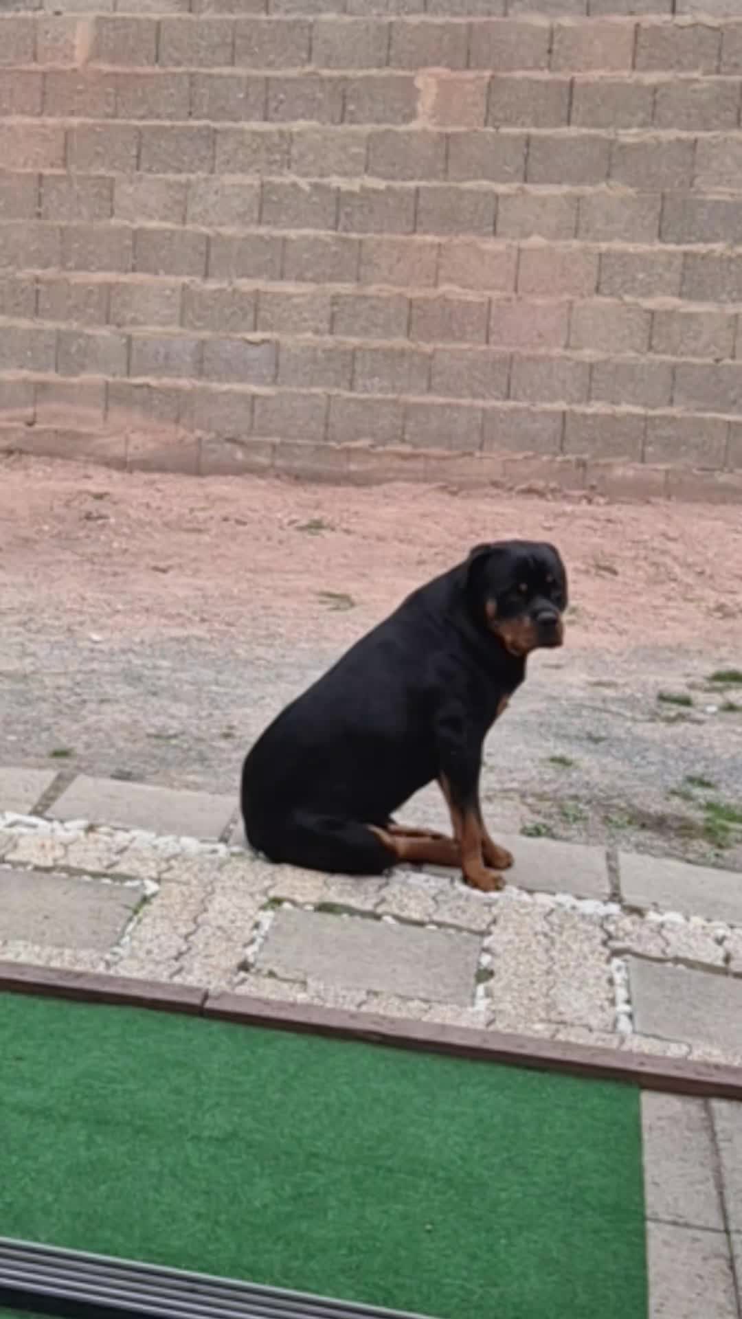 @G&uuml;lseren &Ouml;zdogan