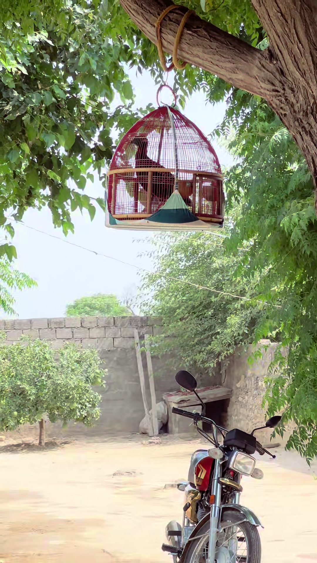 @اسامہ خان
