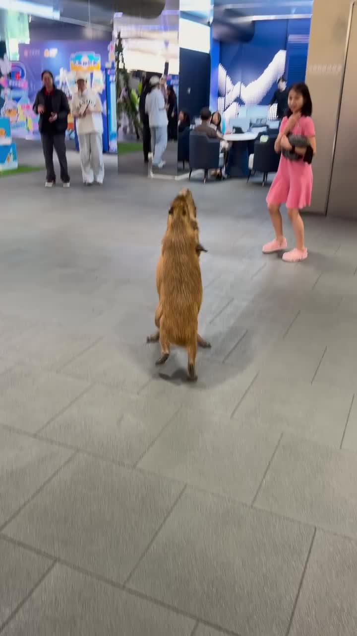 @capybara121224