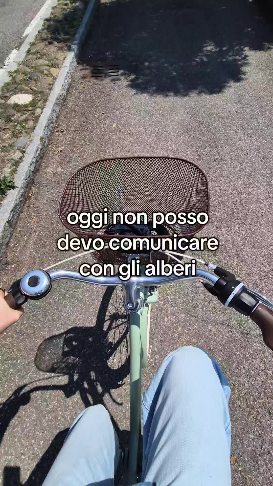 @diversejenfriner🍋