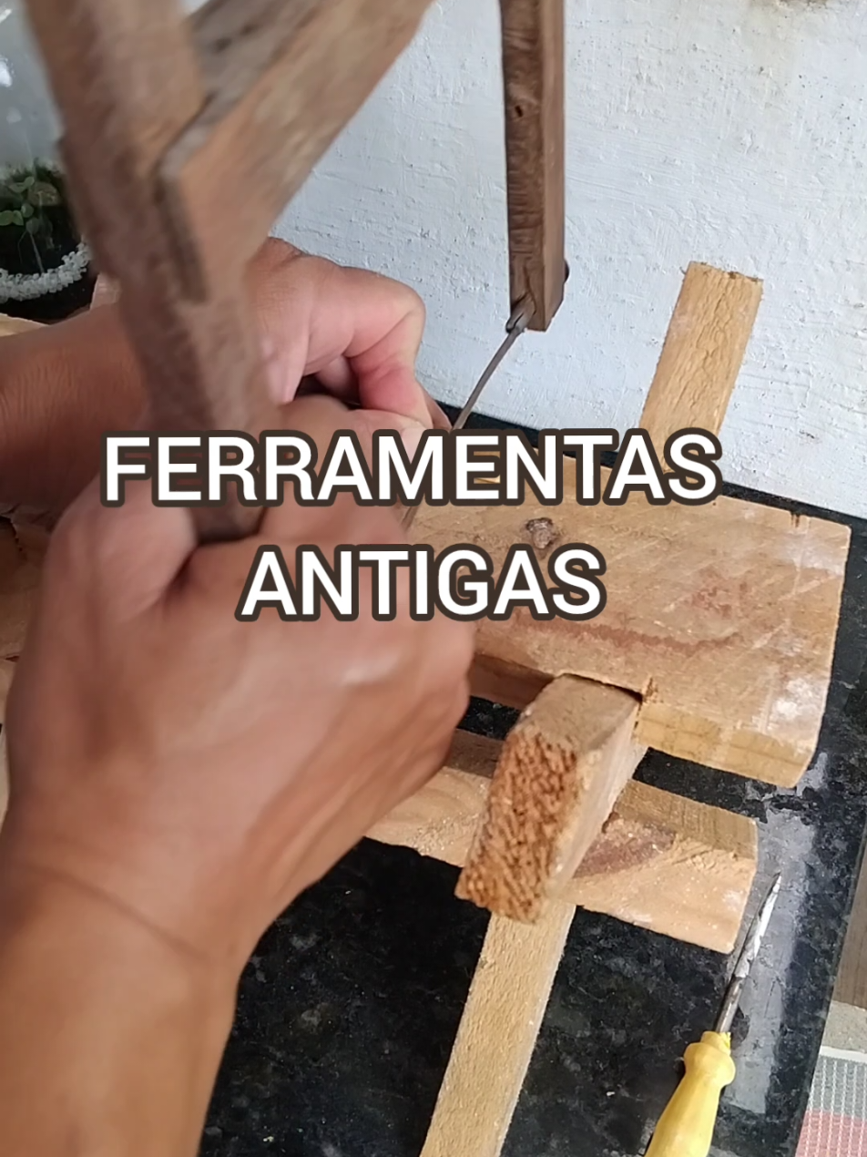 @EcoaBio - Educação Ambiental