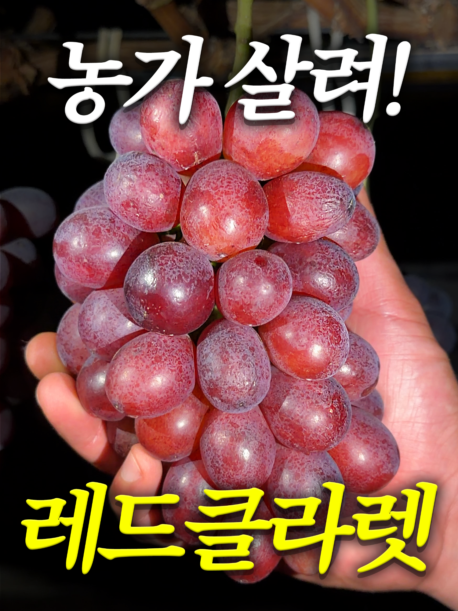 @해운대송사장