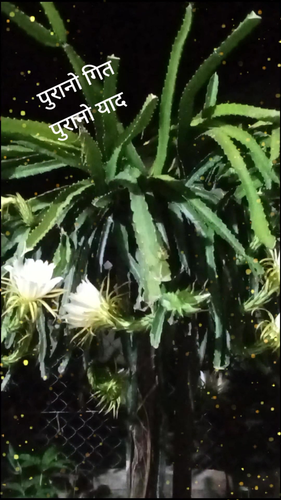 @RaJu NeUpAnEe410