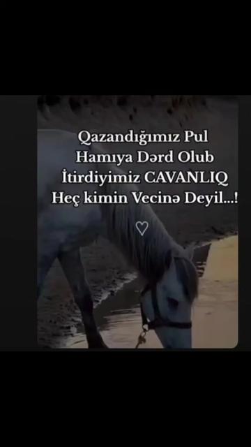 @🖇️ Аскерли🖇️