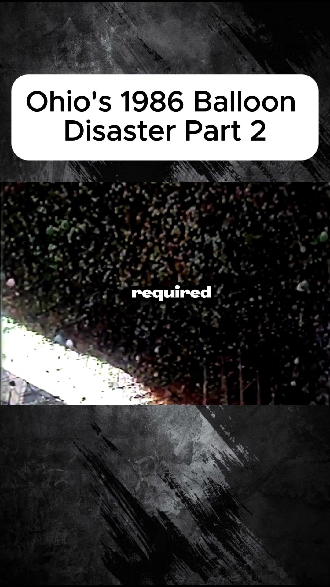 @user600884857131