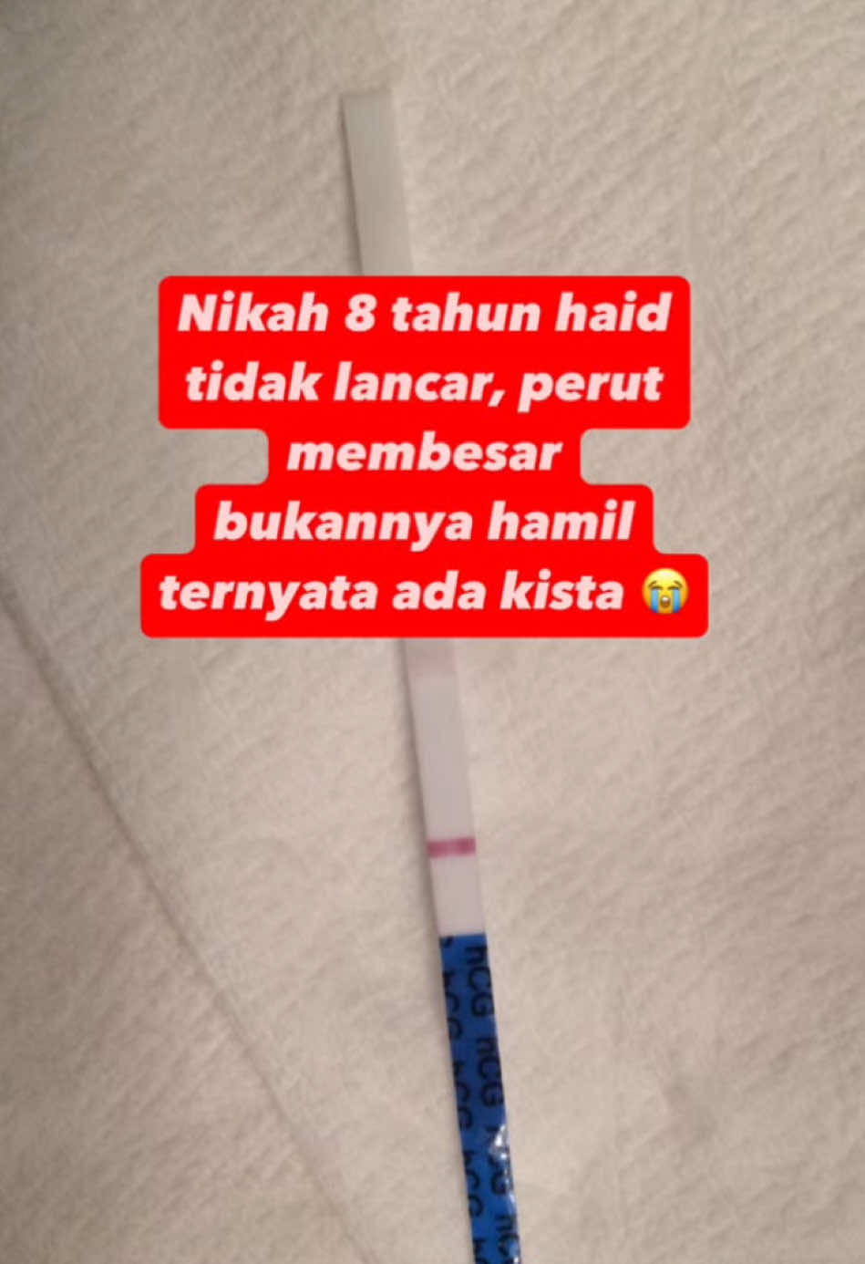 @promilholistik