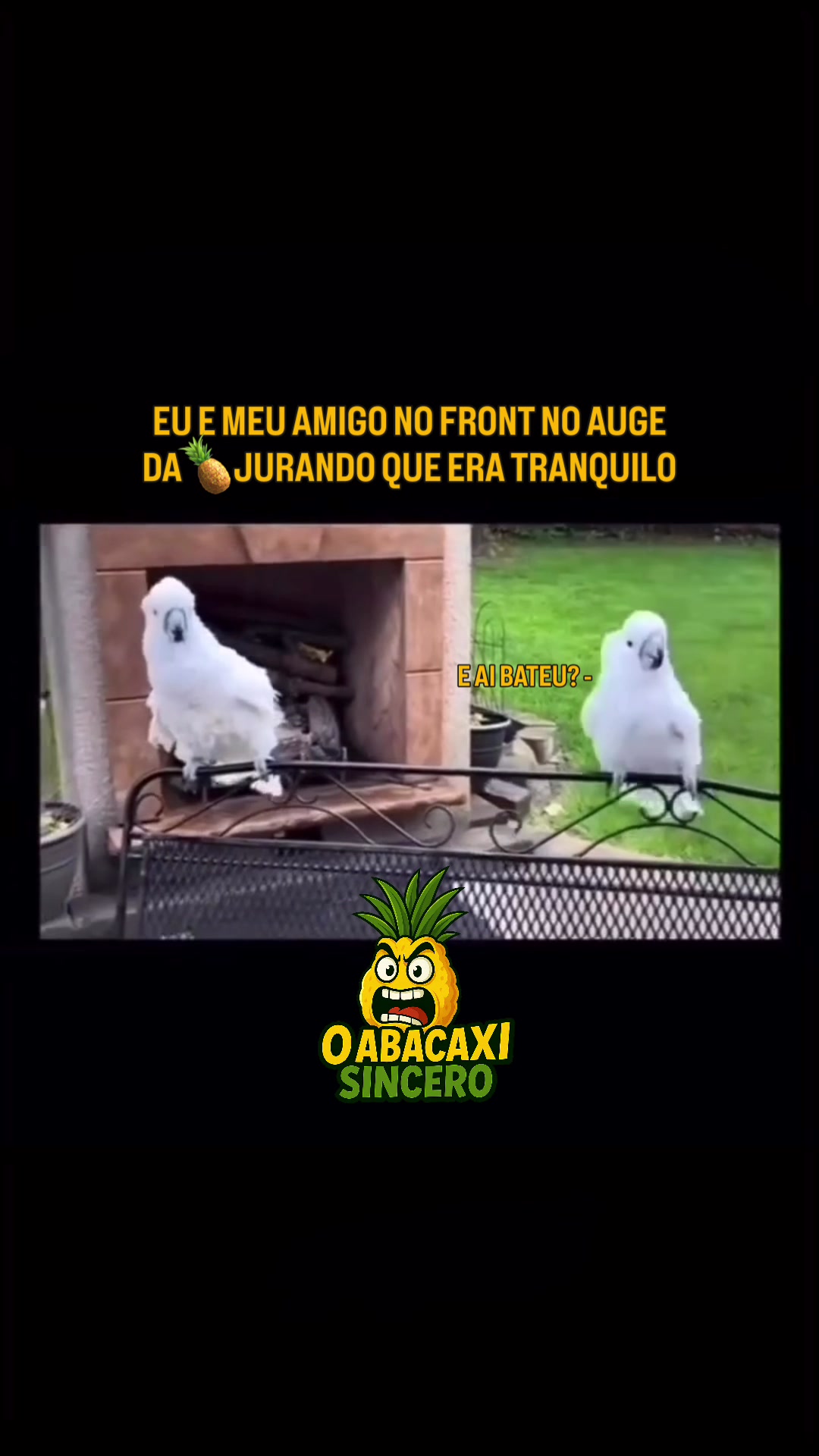 @oabacaxisincero