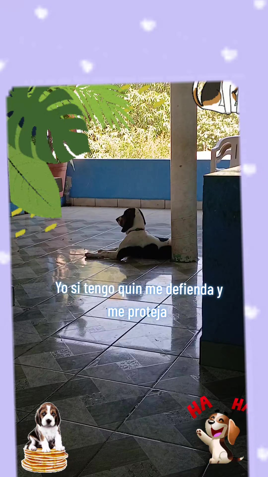 @DANZA LA ESPERANZA