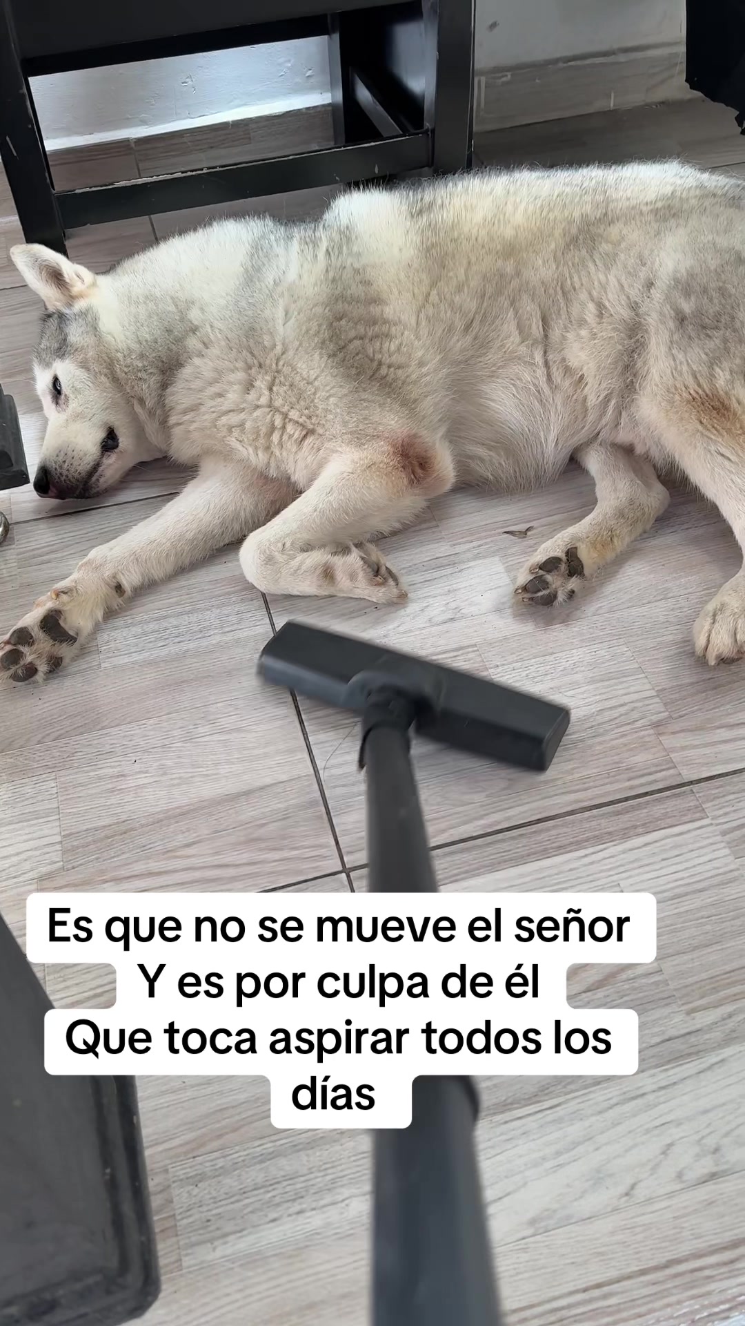 @Dayhana Hurtado