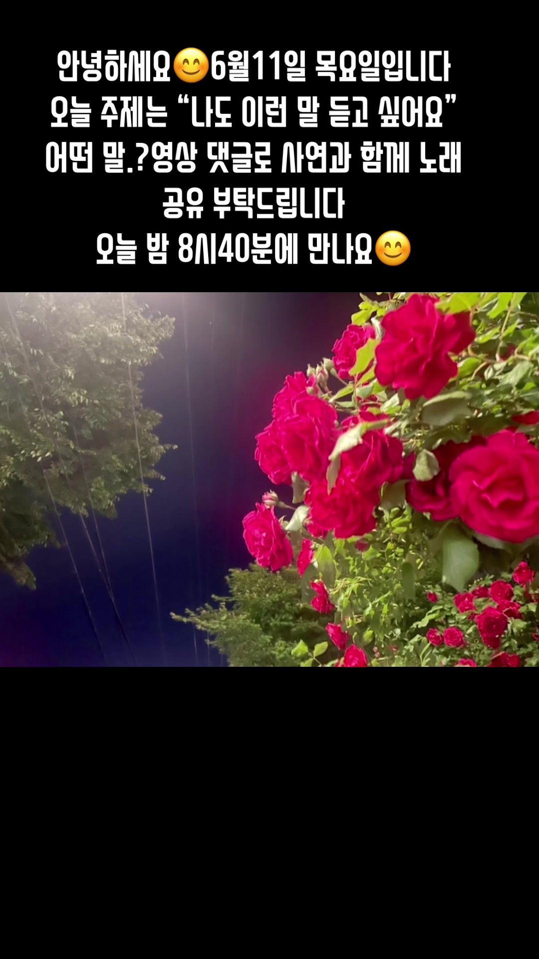 @🪴줄리애쉬