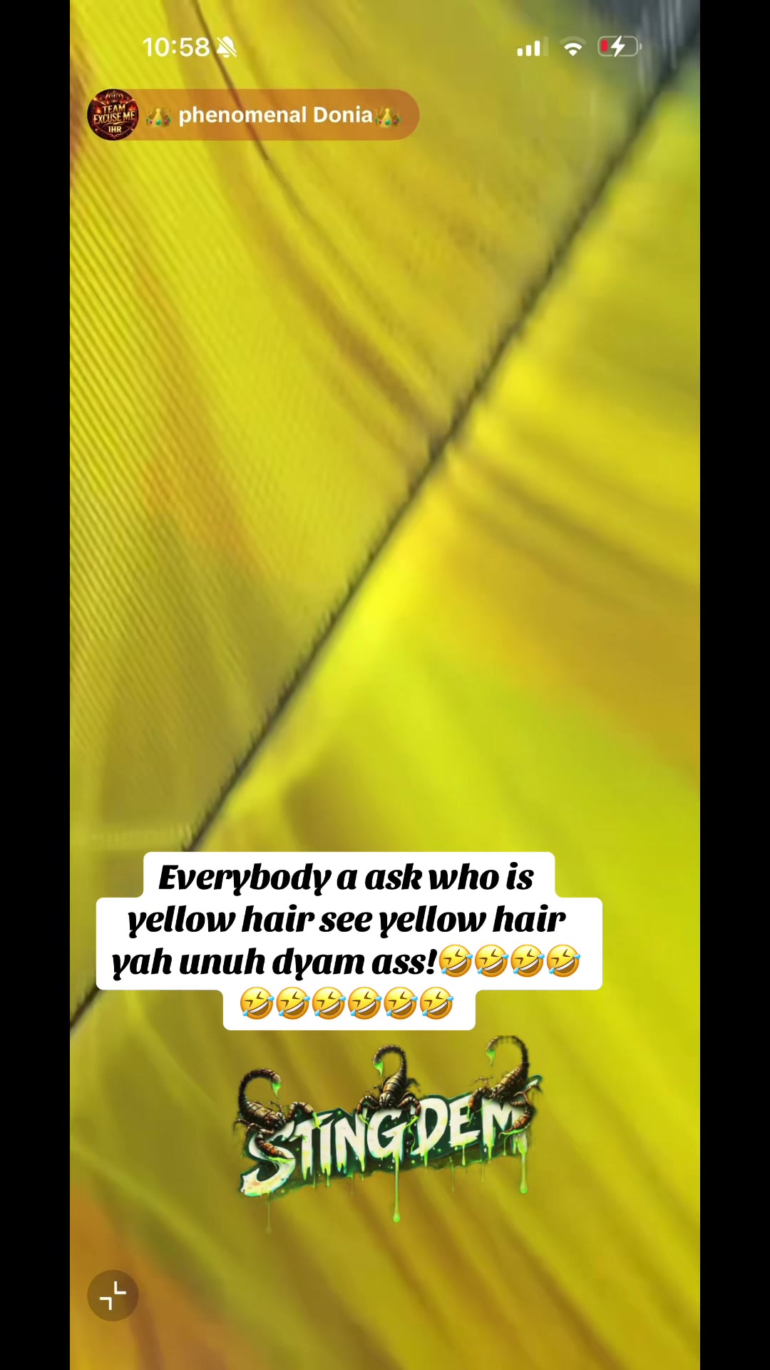 @🦂Sting_dem🦂🇯🇲🇺🇸💸