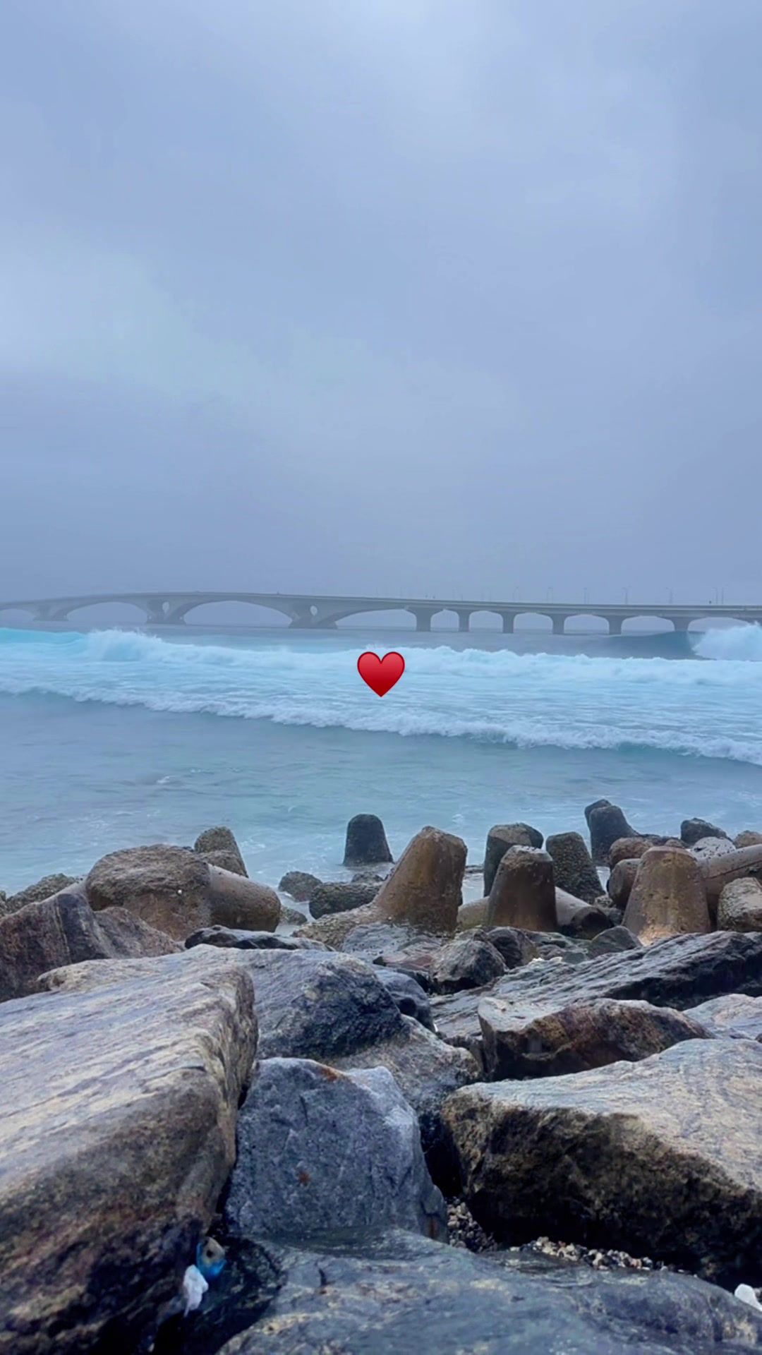 @🌻&hearts;️𝓐𝓮𝓶𝓲𝓷𝓢𝓱𝓪𝓪𝓷𝓪&hearts;️🌻