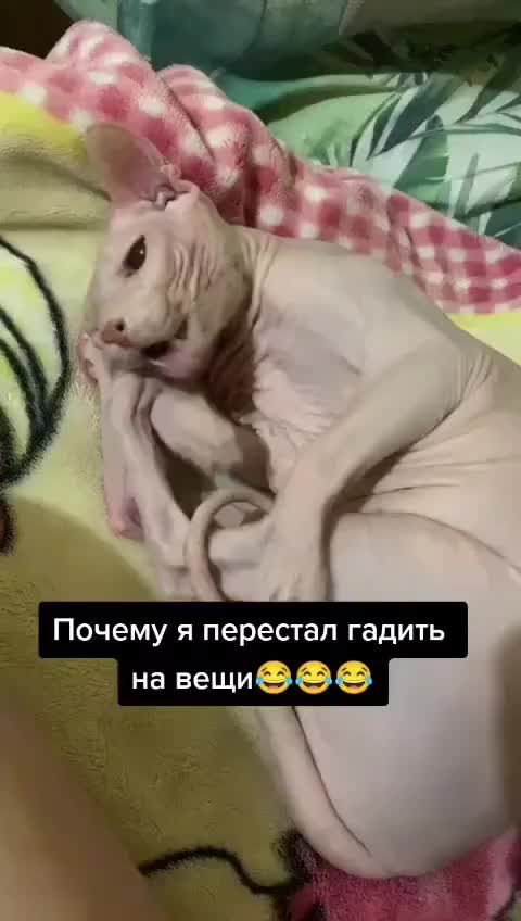 @Анжелика✔️🇷🇺