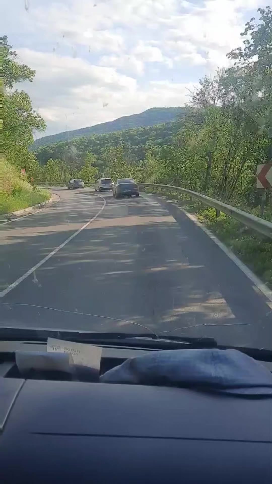@Светлана Цокан