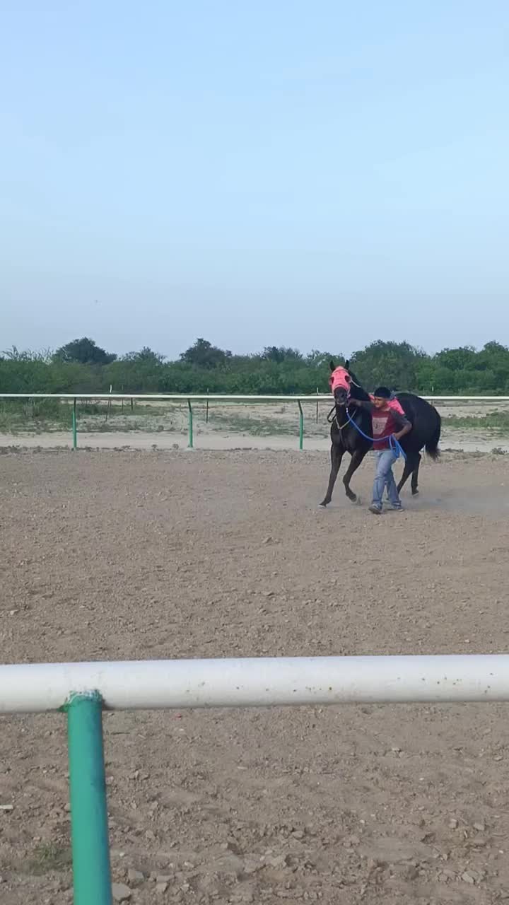 @🇲🇽EL CHAMÁN 🏇 🇲🇽