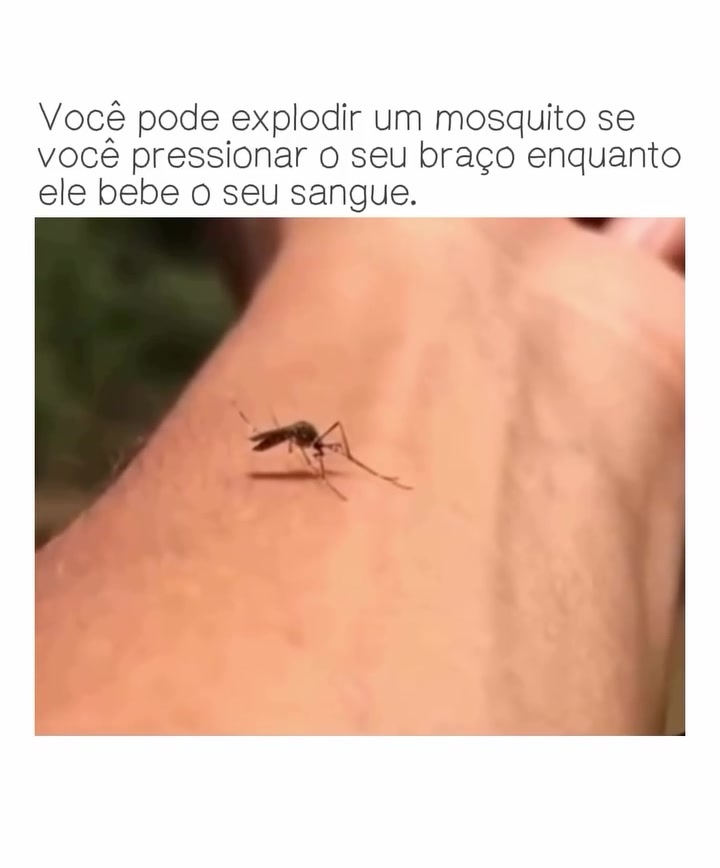 @Detalhes Da Saúde