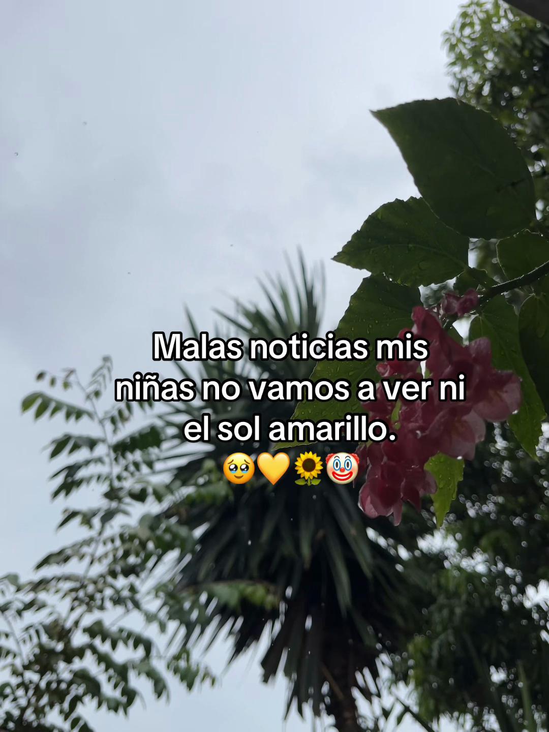 @Megela2