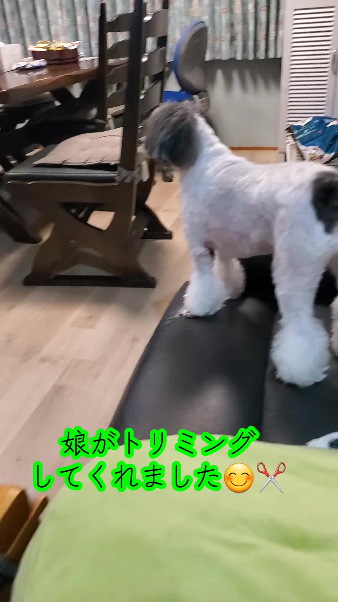 @井坂みどり