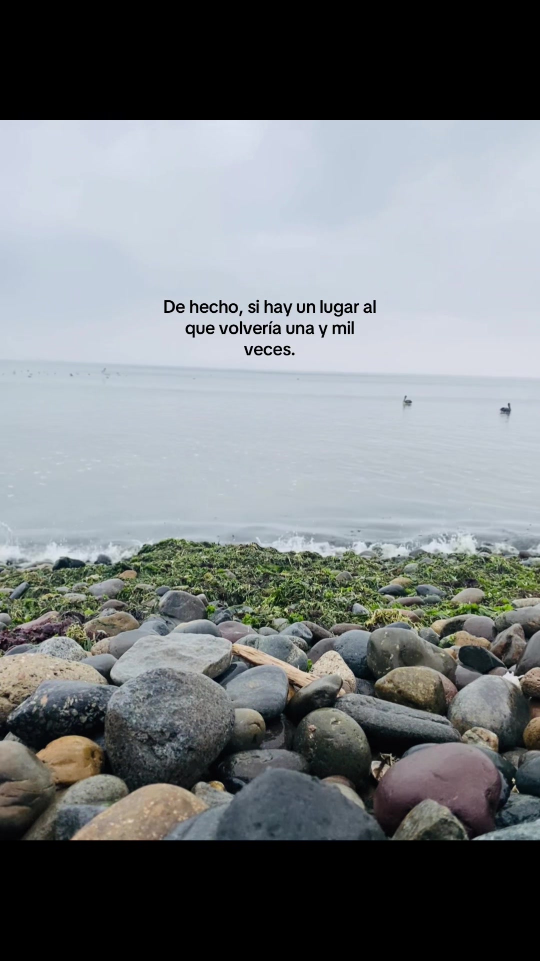 @𝐆𝐚𝐛𝐲