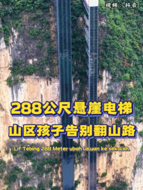 @中国报