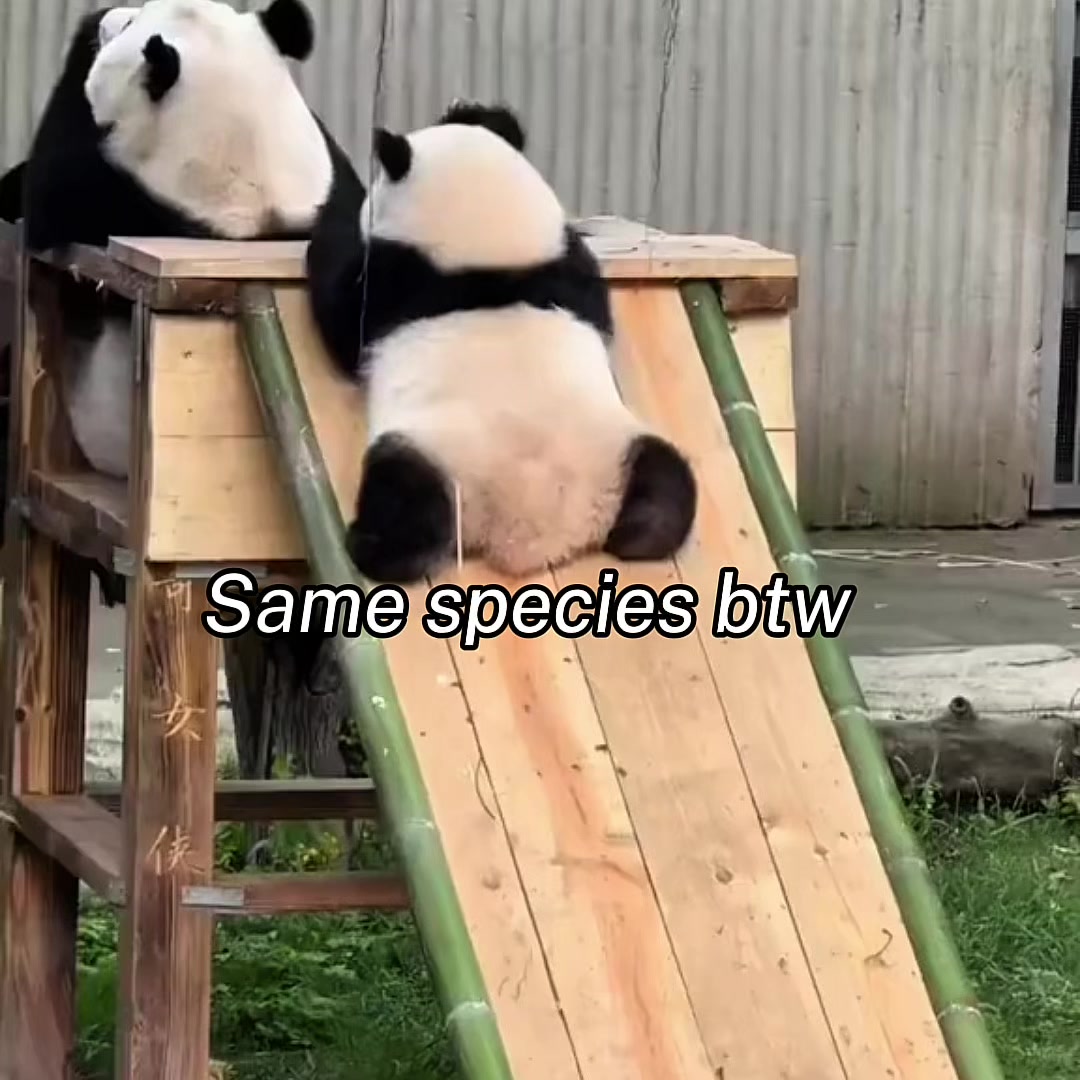@𝓢𝓪𝓶𝔂𝓪𝓻