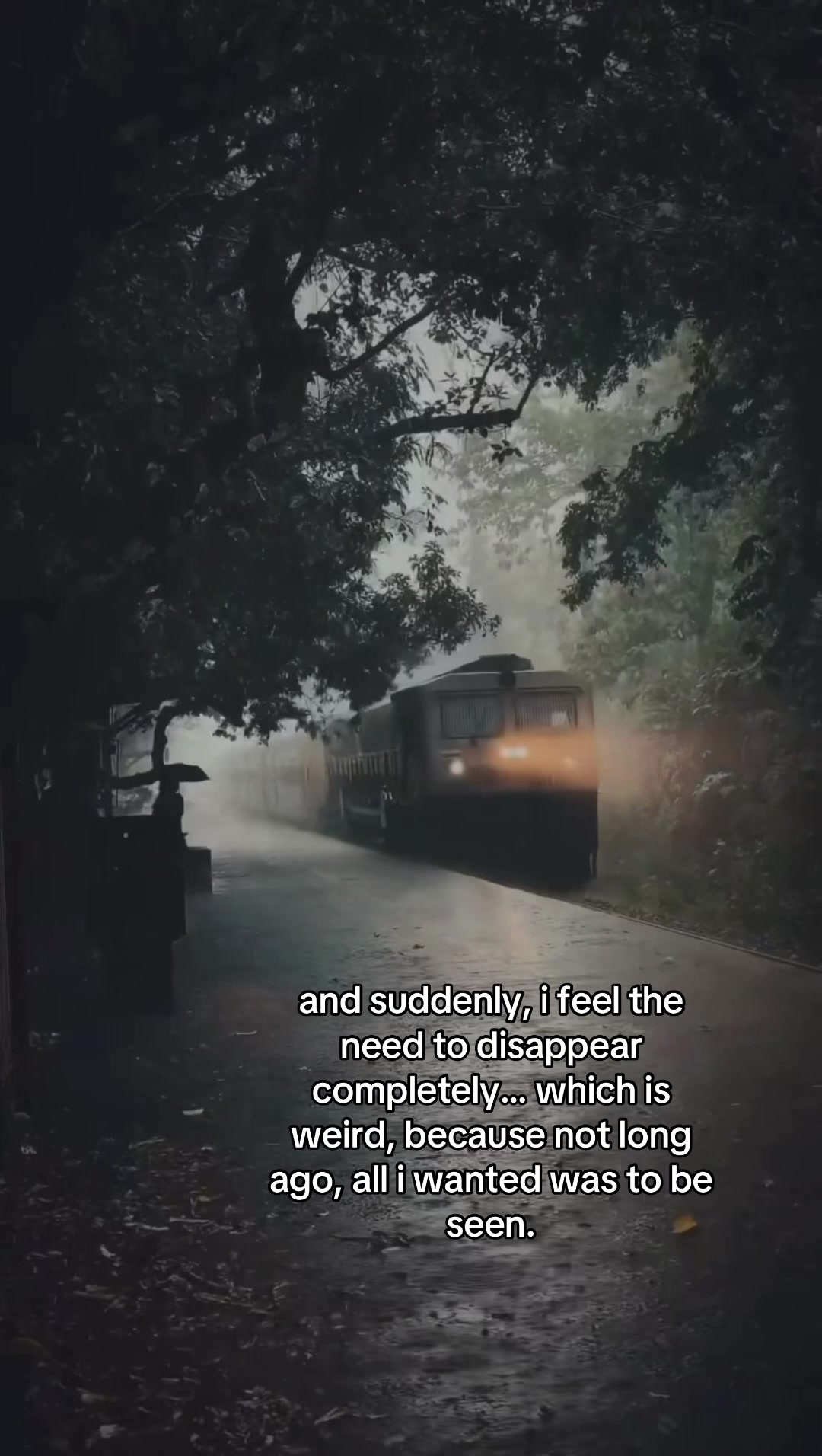 @🦓