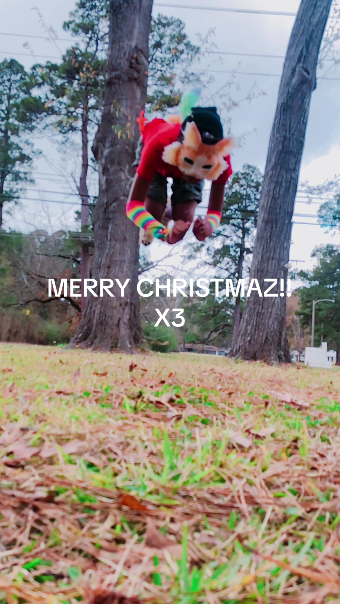 @Zilly_GizmoCatX3