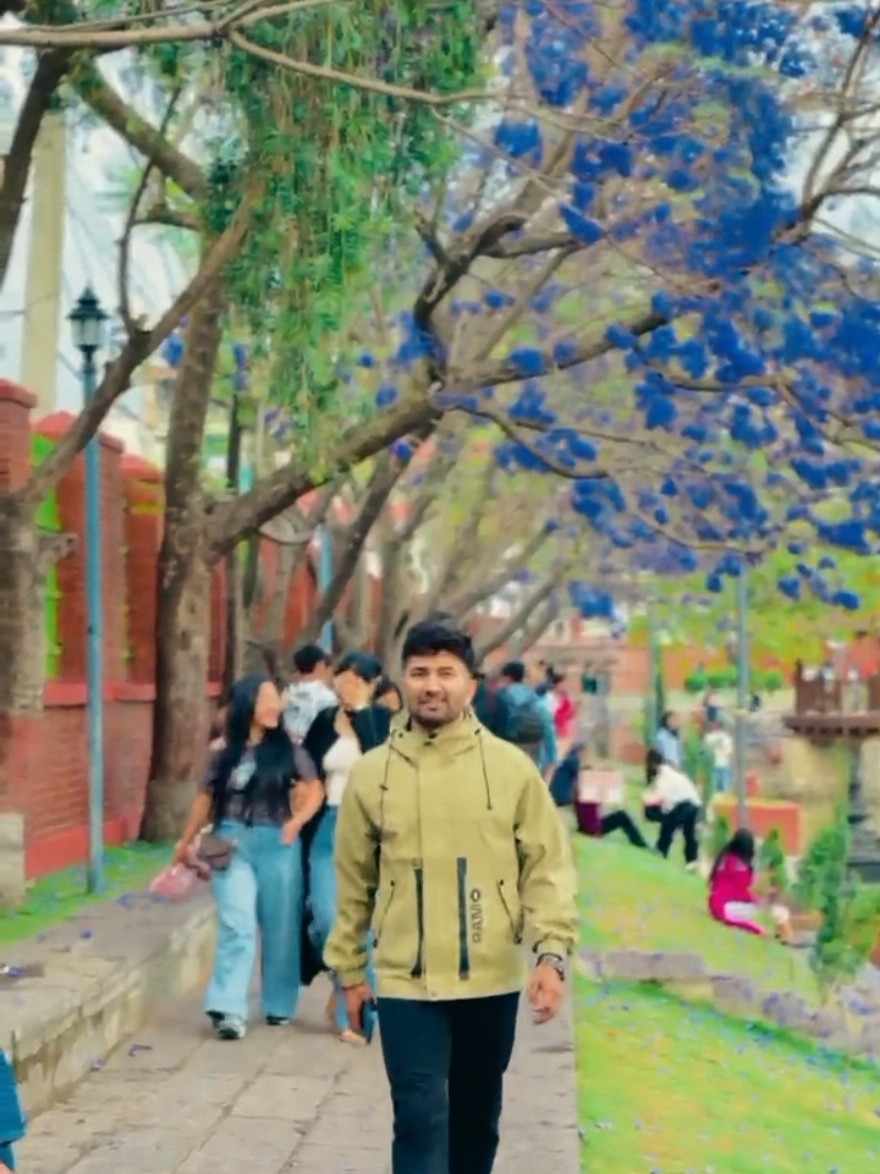 @Aalok_Rauniyar_02❤️🤞